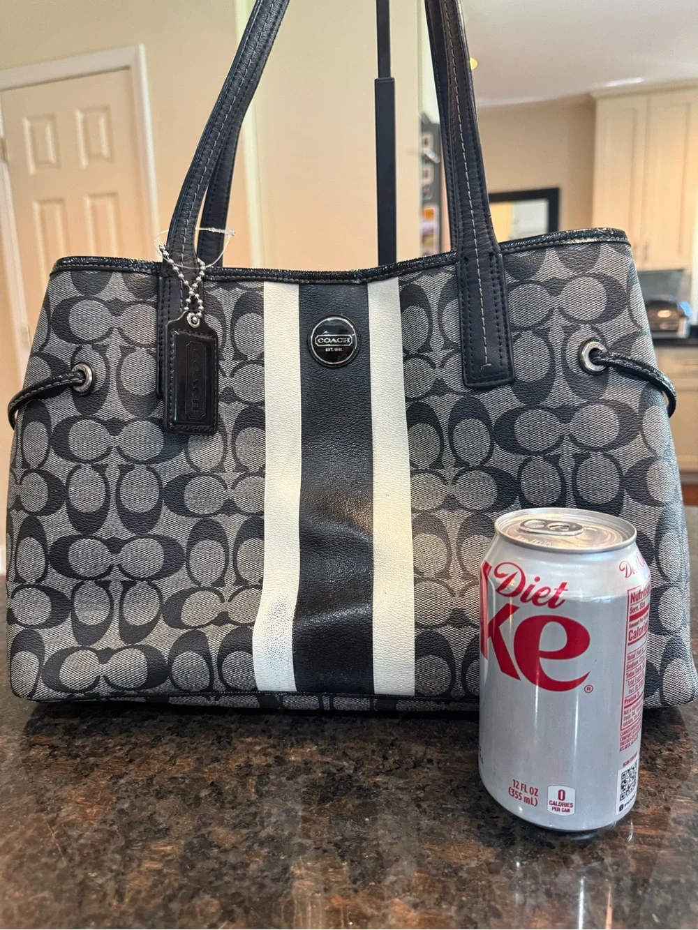 Coach Gray and Black Signature Stripe Tote